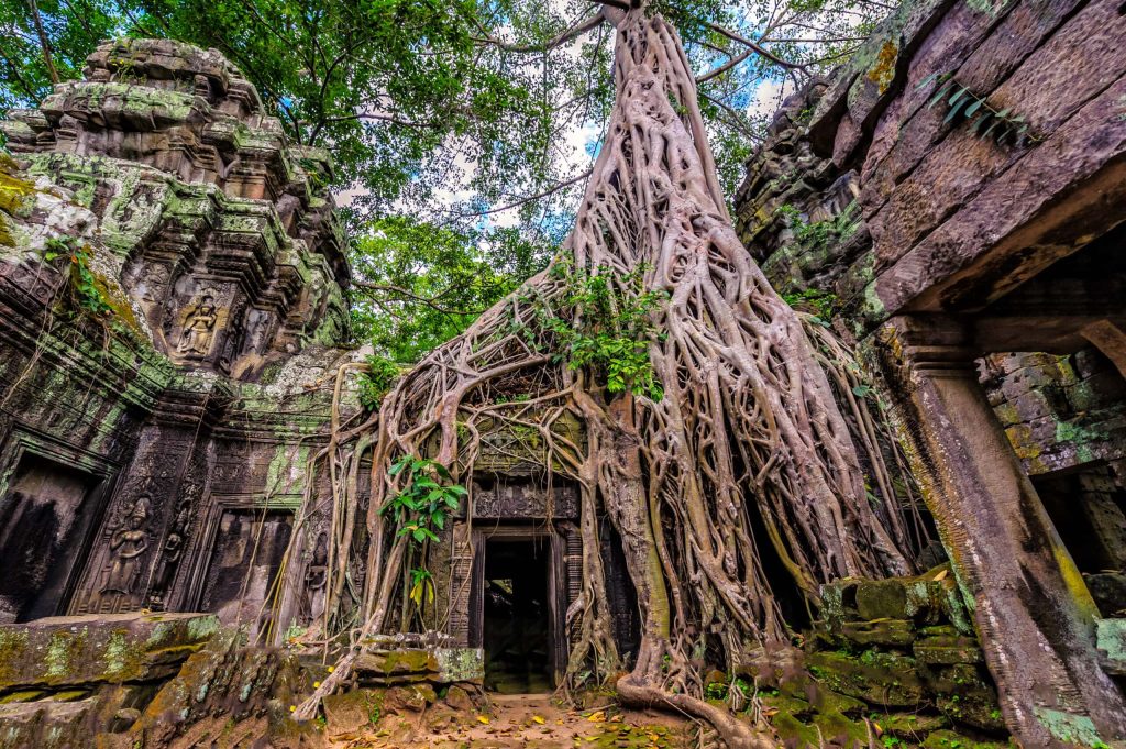 The Architecture of Cambodia: A Journey Through Time