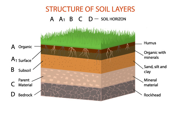 Understanding Soil Conditions in Building Construction